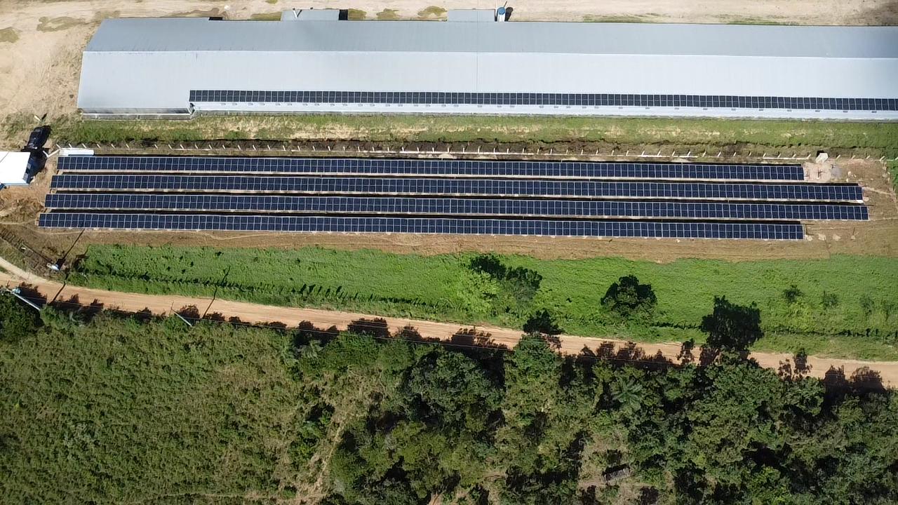 Vista aérea de usina solar em solo com quatro fileiras de painéis em uma granja